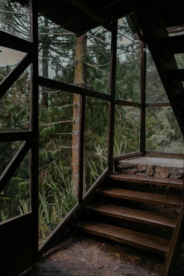 Alive Eco Hut Pousada Monte Verde  Ngoại thất bức ảnh